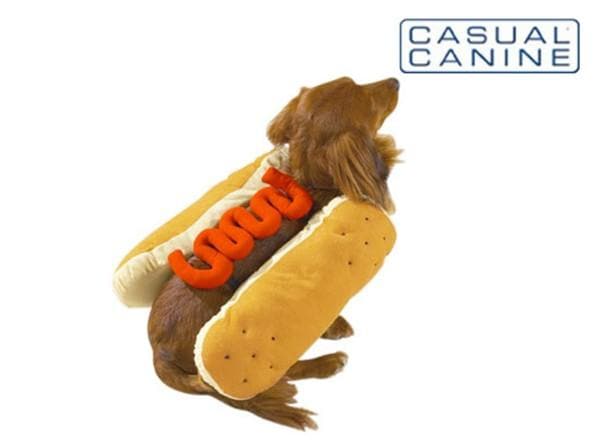 Hot Diggity Dog with Ketchup Dog Costume