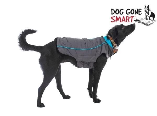 Sleek Trailblazer 8" Dog Jacket