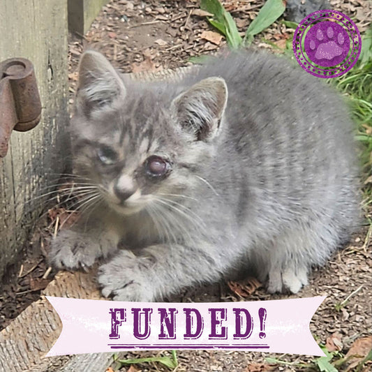 Funded - Help Winky See a Brighter Future