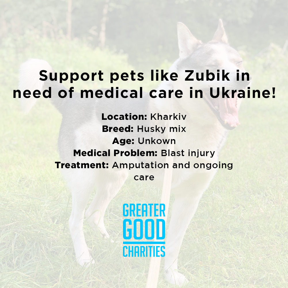 Funded: Zubik was Injured in a Missile Strike: You Can Help