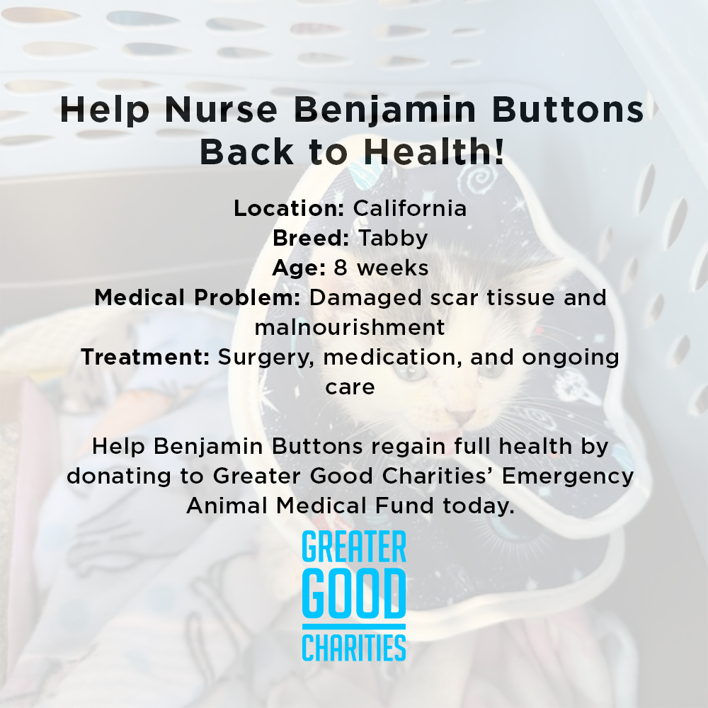 Funded: Help Nurse Benjamin Buttons Back to Health