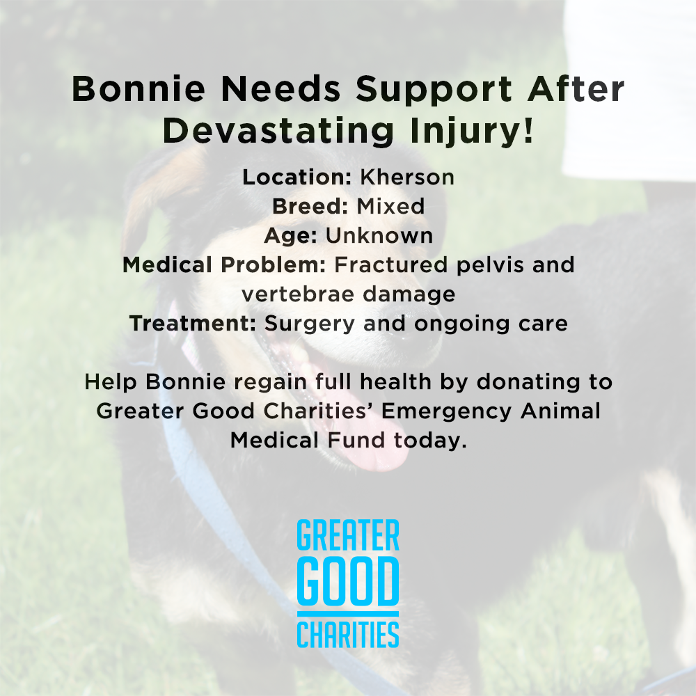 Funded: Bonnie Needs Support After Devastating Injury