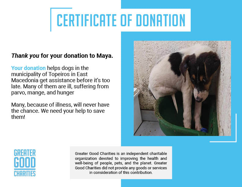 Maya Is Giving Up Hope And Needs Your Help