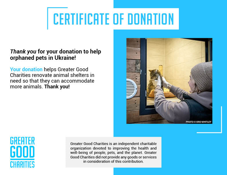 Traumatized Pets Abandoned in Ukraine Need a Safe Haven