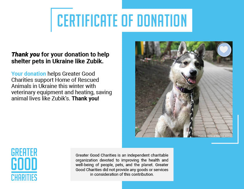 Funded: Zubik was Injured in a Missile Strike: You Can Help