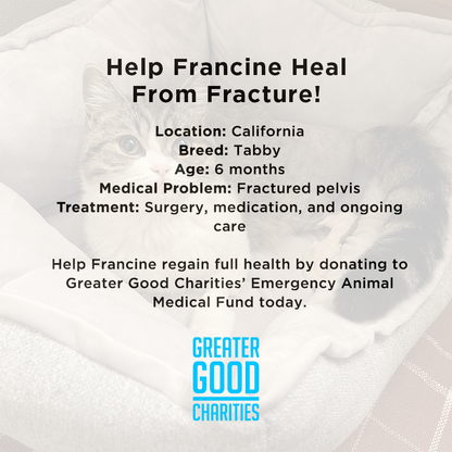 Funded: Help Francine Heal From Fracture