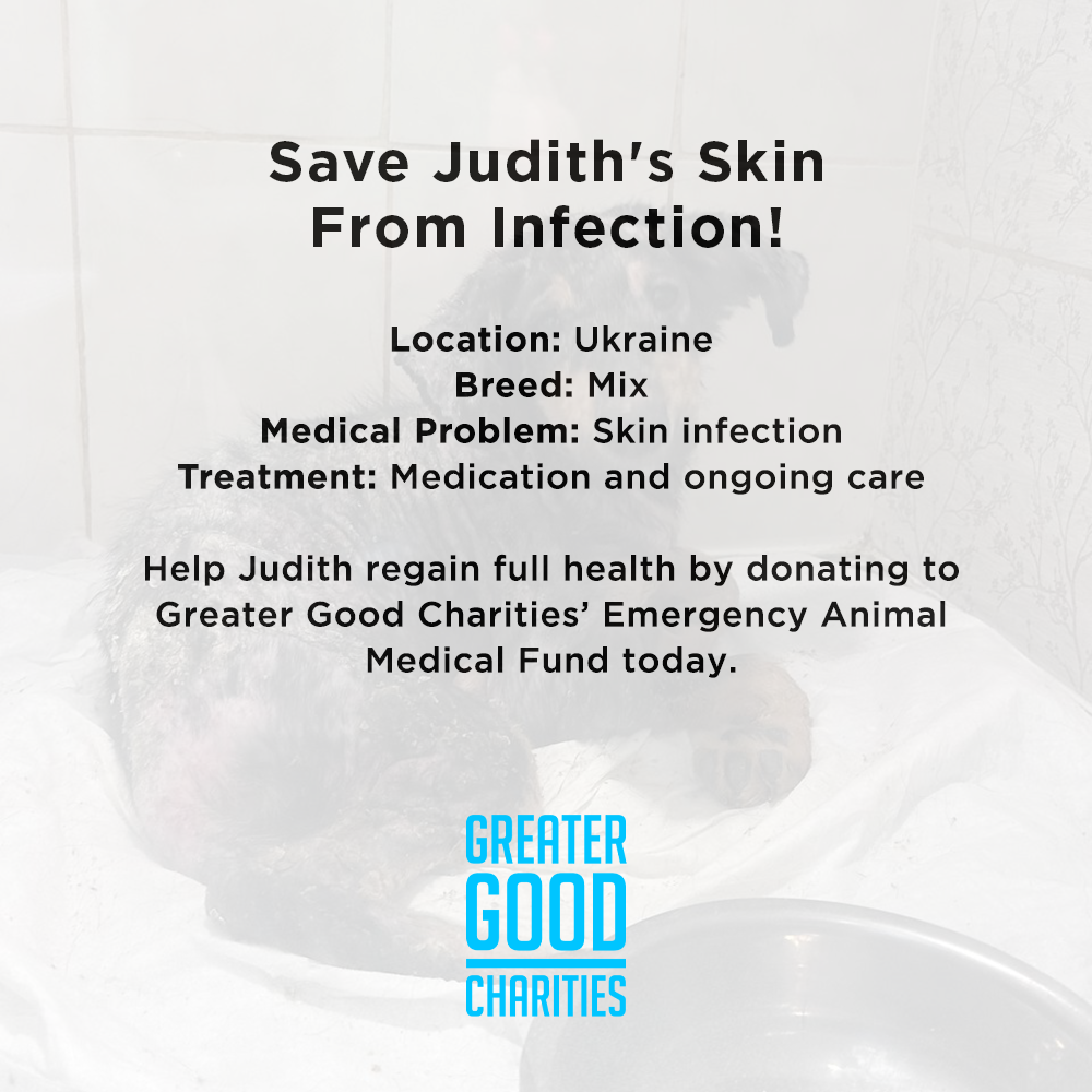 Funded: Save Judith's Skin From Infection