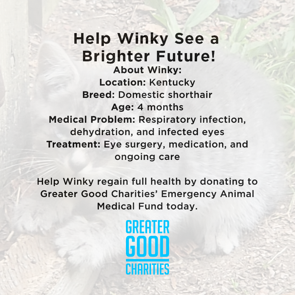 Funded - Help Winky See a Brighter Future