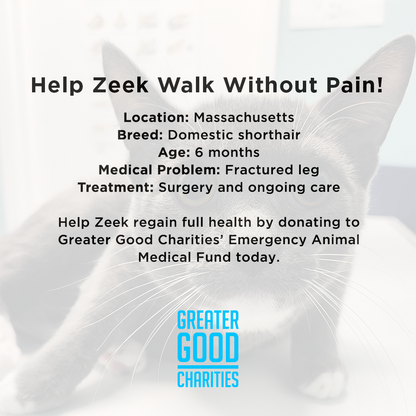 Funded: Help Zeek Walk Without Pain