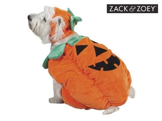 Pumpkin Costume by Zack & Zoey