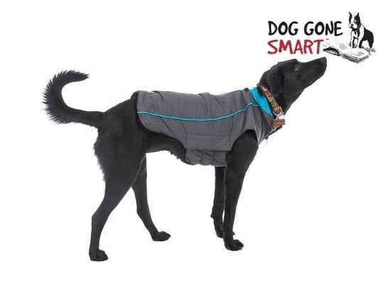 Sleek 8" Trailblazer Jacket for Dogs