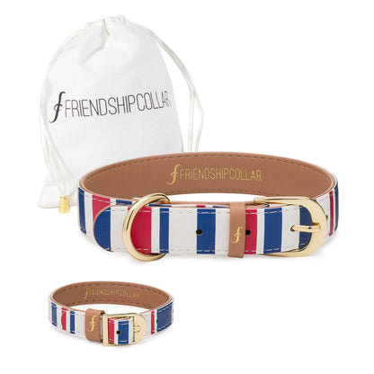 Nautical Pup Friendship Collar & Bracelet Set