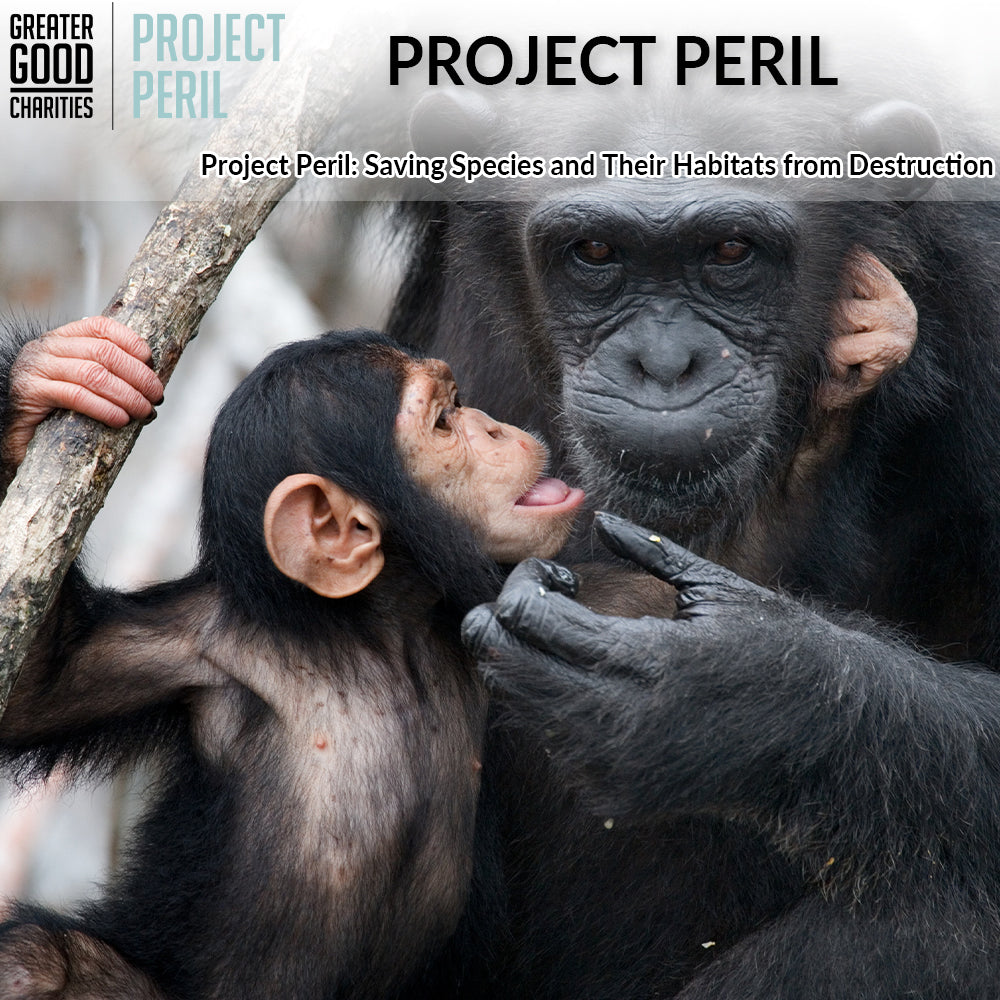 Project Peril: Protecting Species on the Brink of Extinction