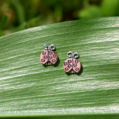 Sweet Ladybug Post Earrings