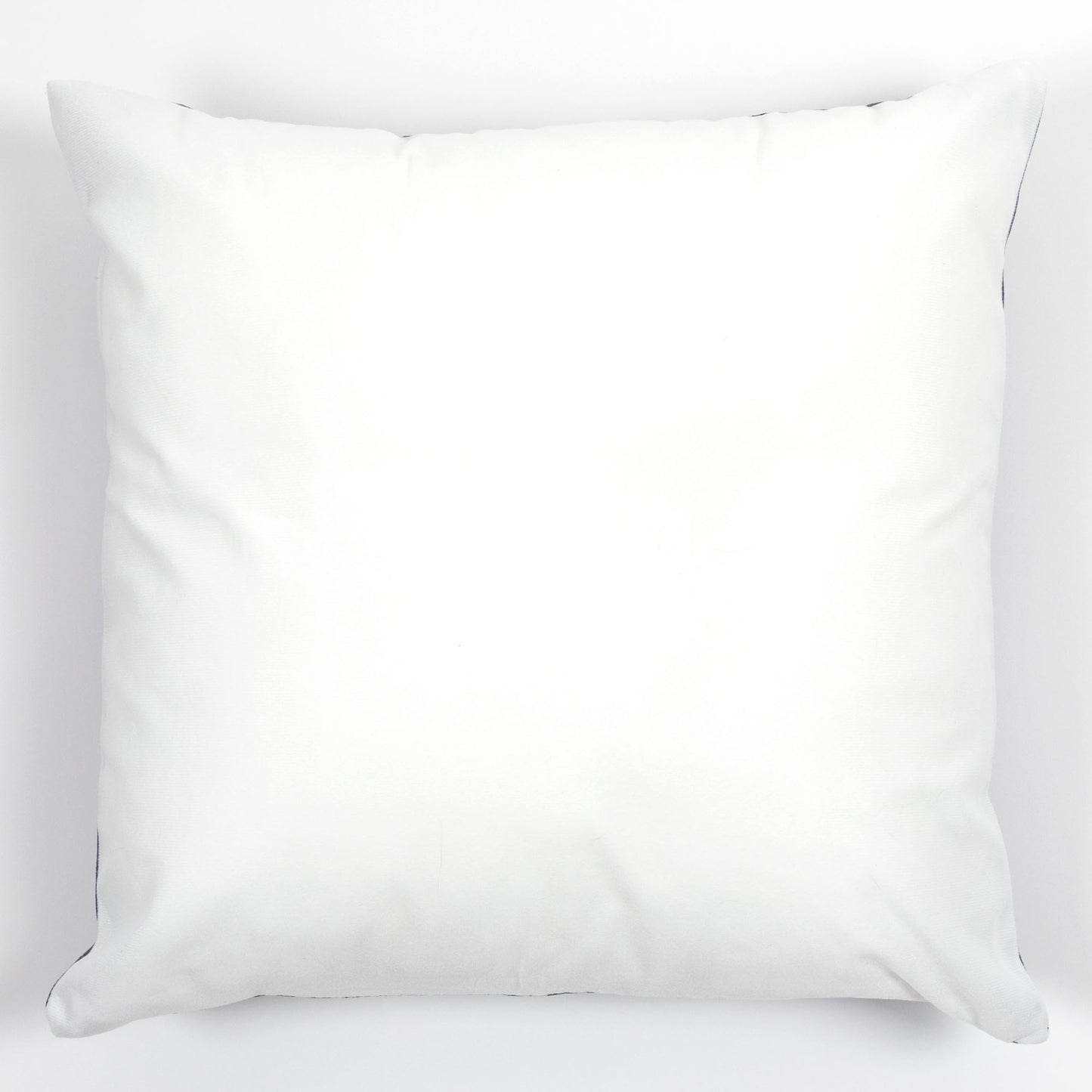 Art Print Plush Accent Pillow Cover
