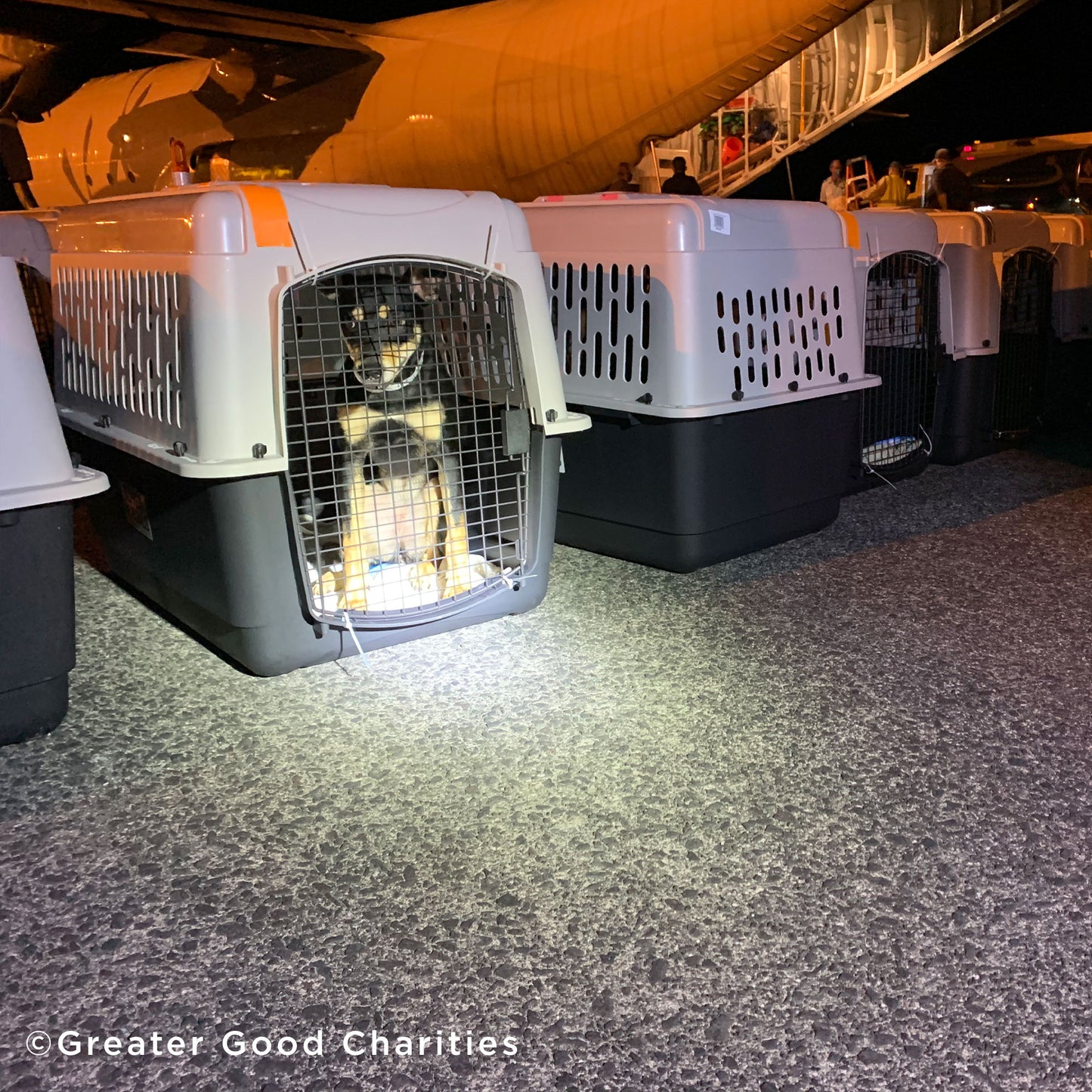 Fund Crates and More for Flights to Freedom