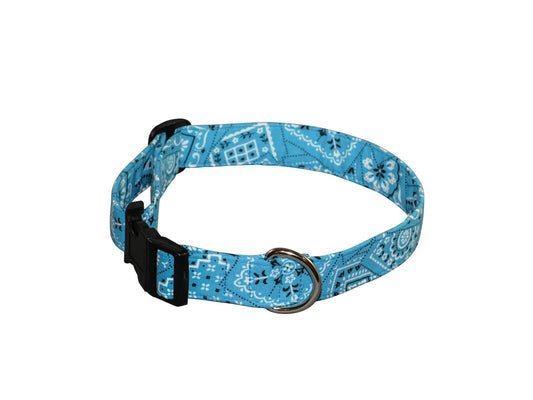 Blue Roundup Dog Collar