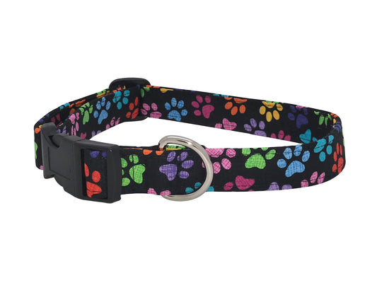 Colorful Paws Dog Collar