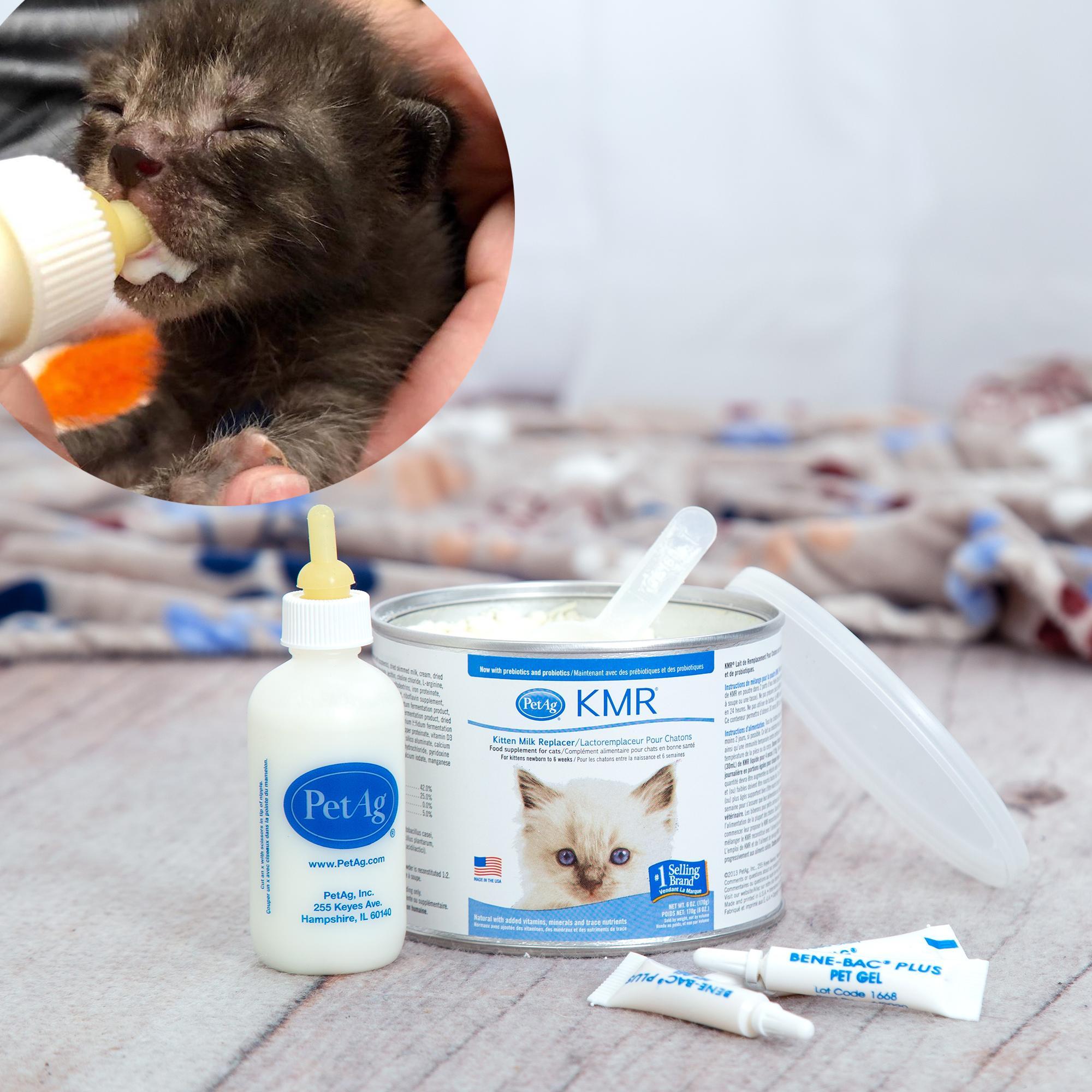 Virtual - Emergency Care: Life-Saving Formula Kits For Fur Babies