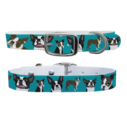 Boston Terrier Dog Collar With Silver Buckle