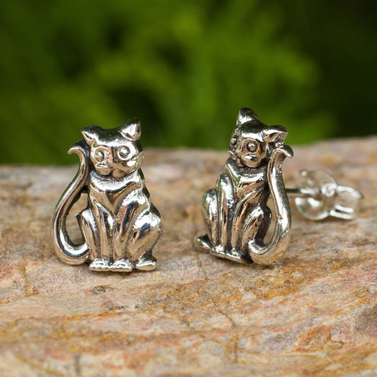 Contented Kittens Silver Button Earrings