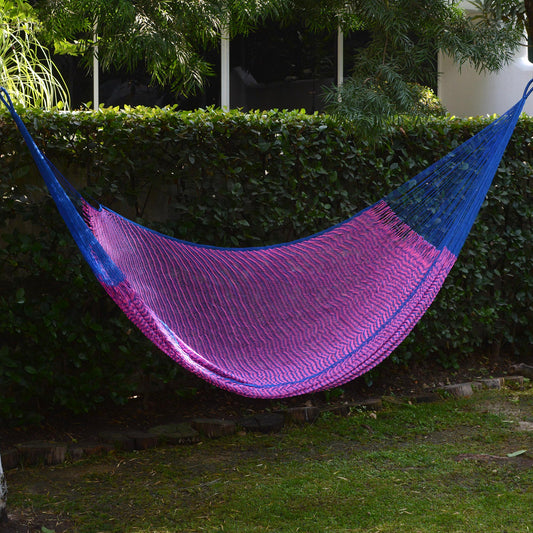 Berry Blossom Hand Woven Pink and Blue Nylon Hammock from Mexico (Double)