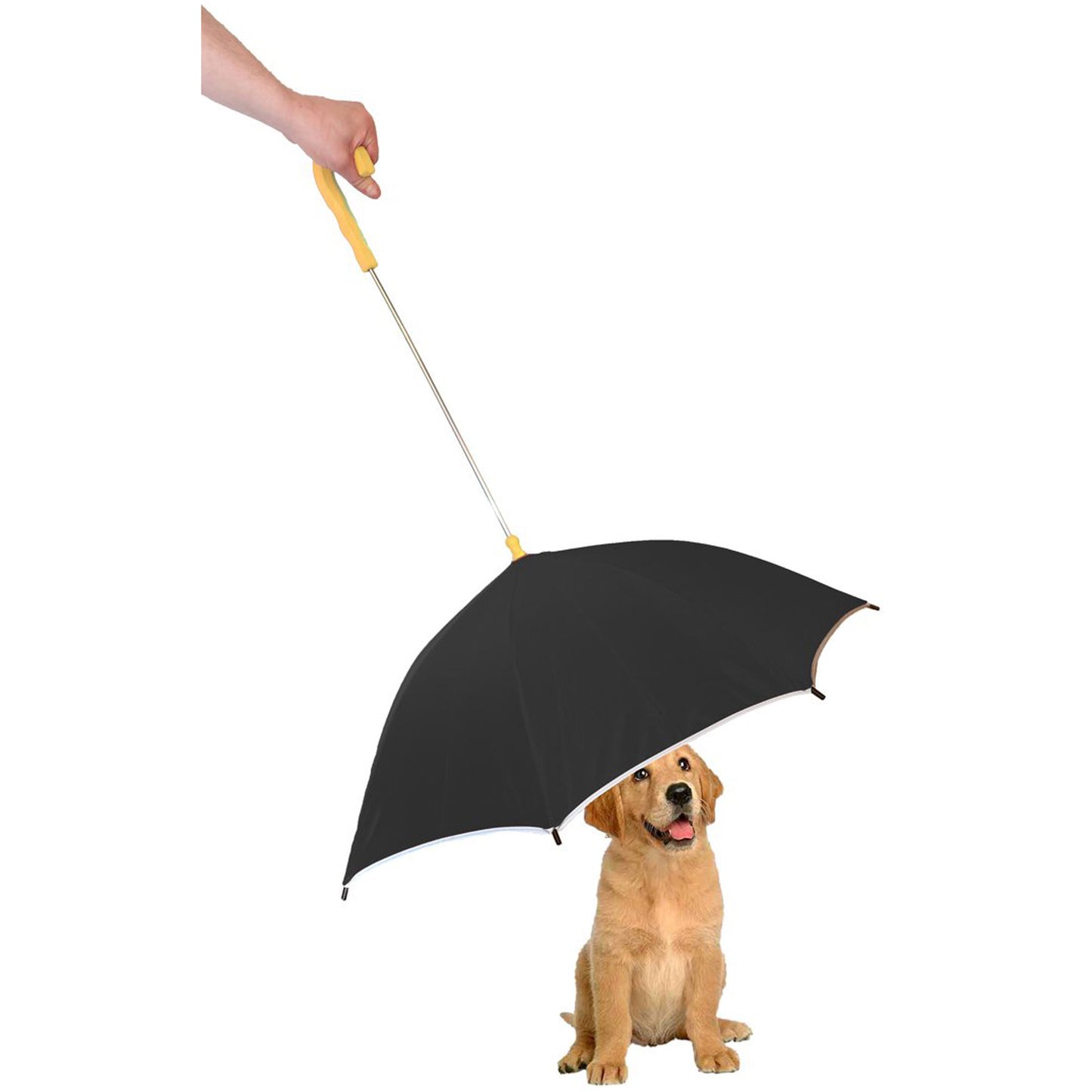 Pet Life&reg; Pour-Protection Umbrella & Leash Holder
