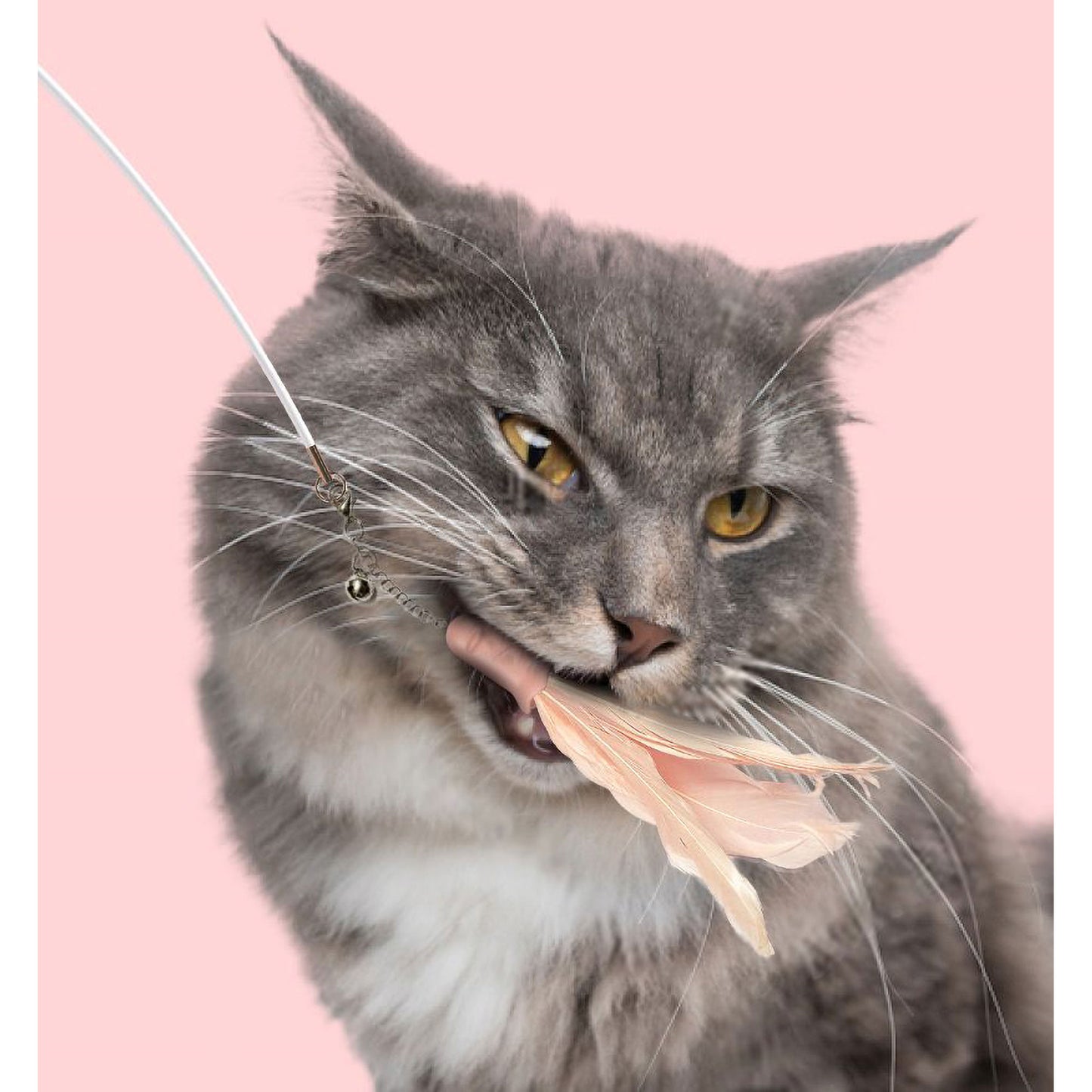 Pet Life&reg; Wander-Cat Laser Cat Teaser