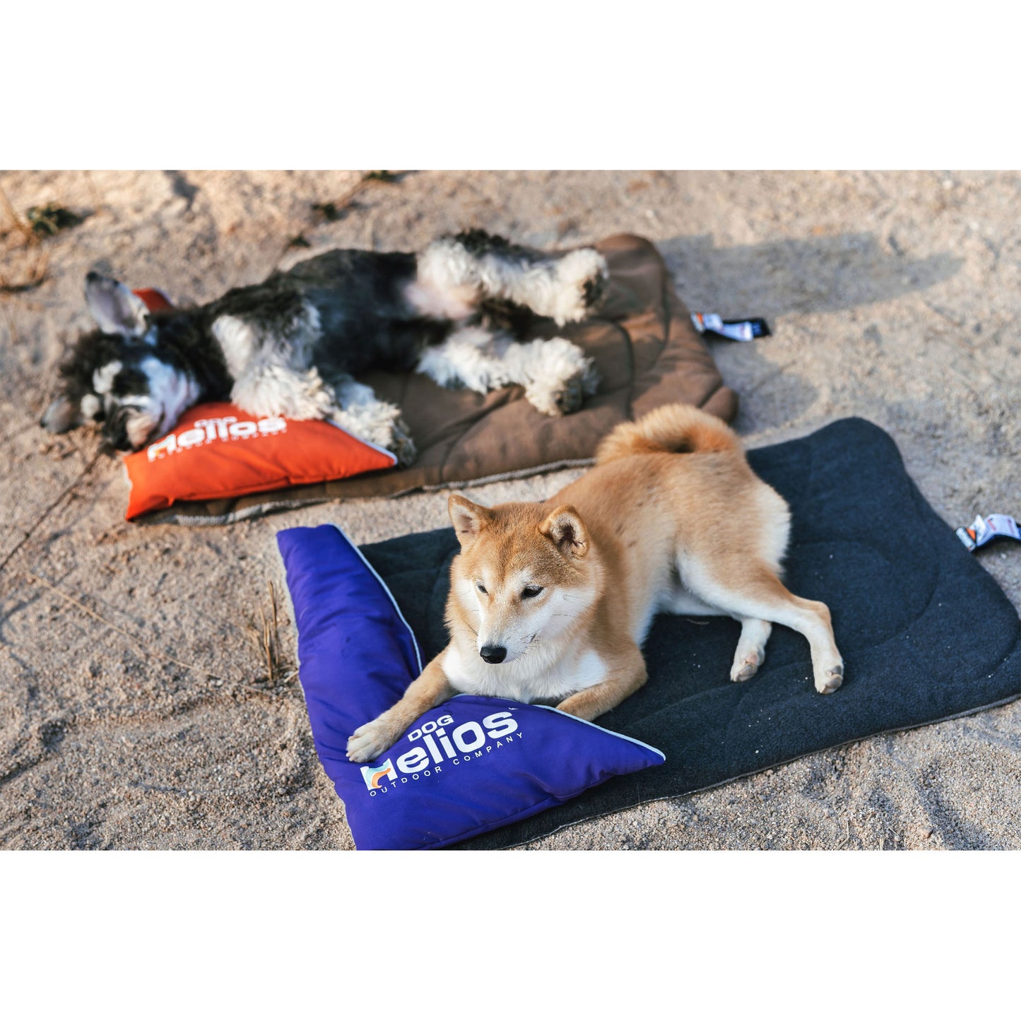 Dog Helios&reg; Expedition Travel Dog Bed