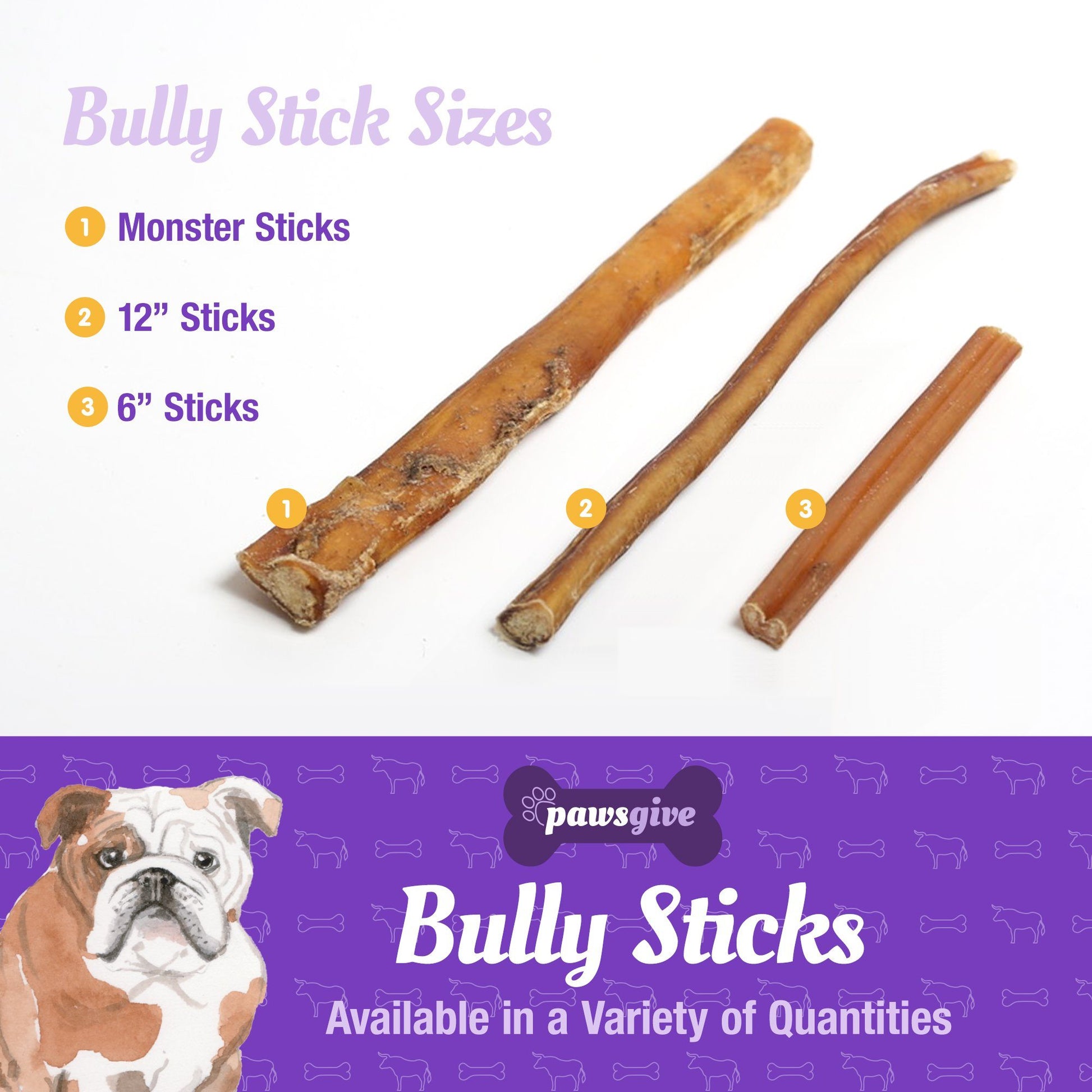 PawsGive - PawsGive 12" Bully Sticks For Dogs From Grass Fed Free Range Cattle