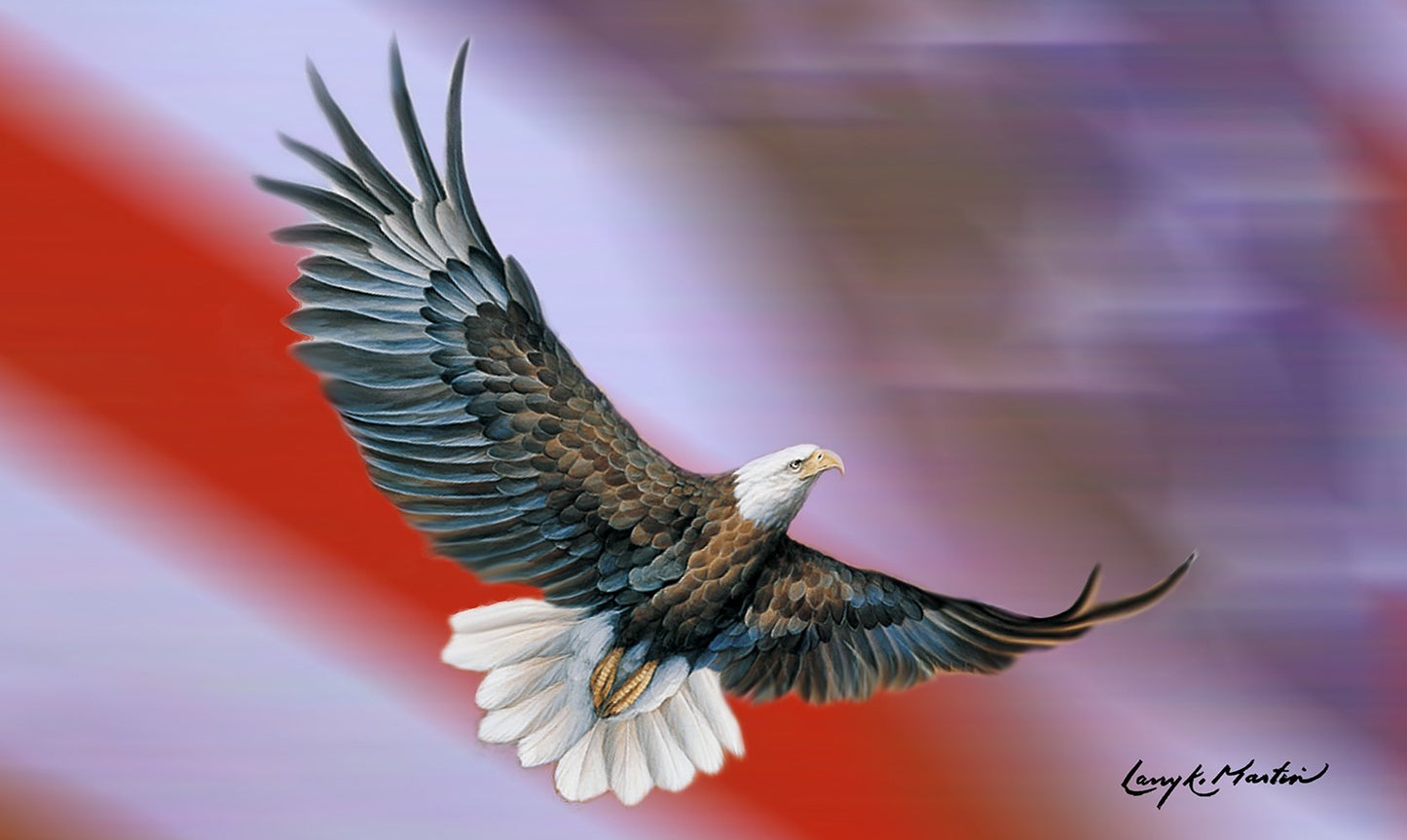 Patriotic Eagle Door Mat
