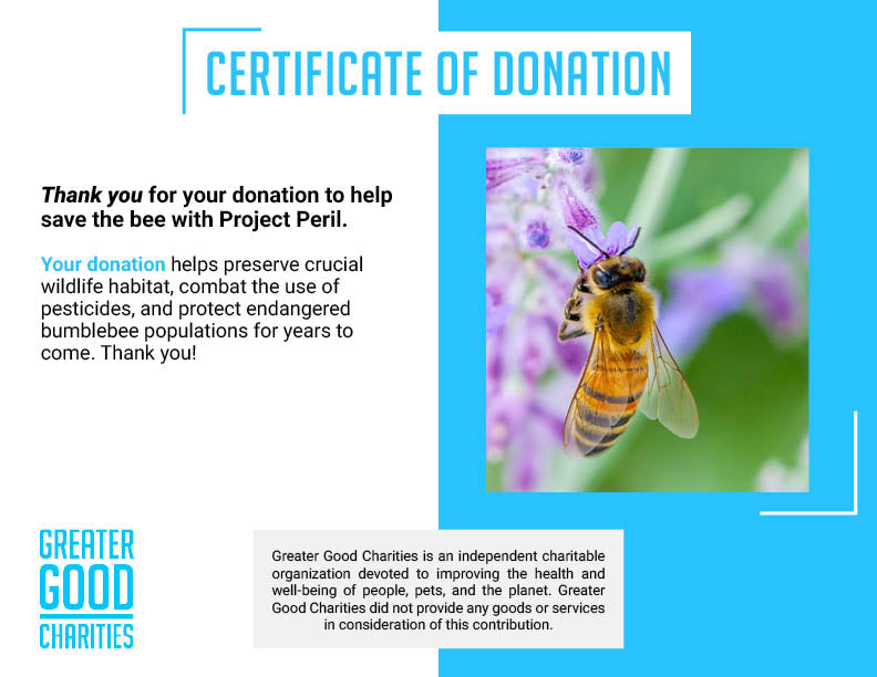 Project Peril: Help Feed Starving Bees