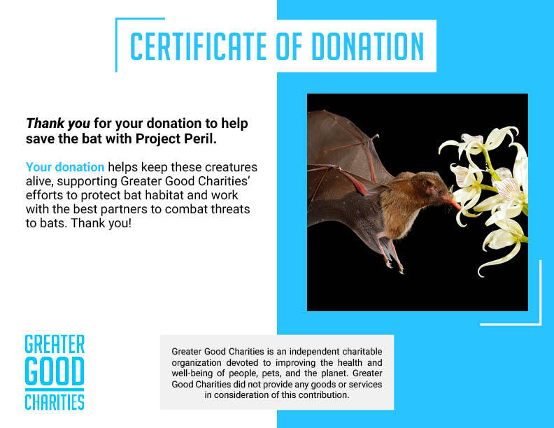 Project Peril: Help Save the Bat