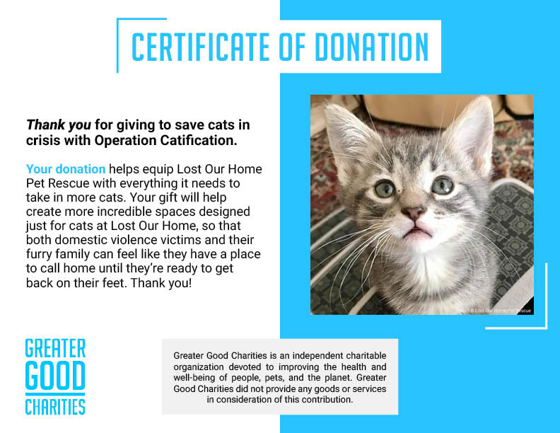 Save Cats in Crisis with Operation Catification