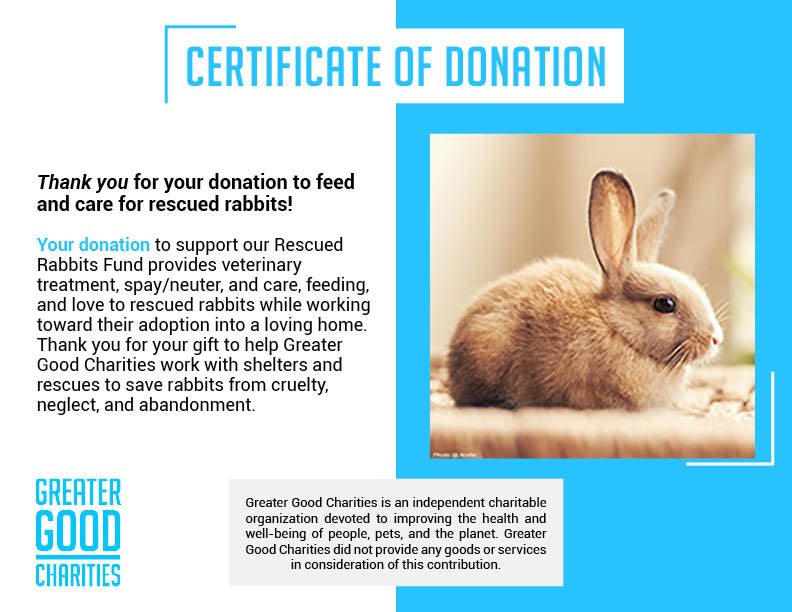 Care for Rescued Rabbits