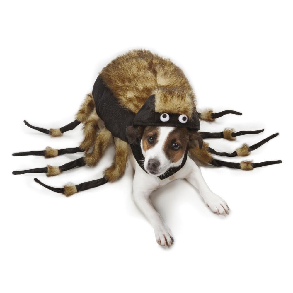 Zack & Zoey&reg; Tarantula Dog Costume